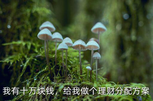 我有十萬塊錢，給我做個(gè)理財(cái)分配方案