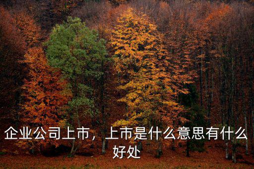 企業(yè)公司上市，上市是什么意思有什么好處
