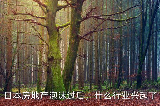 日本房地產(chǎn)泡沫過(guò)后，什么行業(yè)興起了