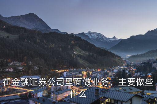 在金融證券公司里面做業(yè)務，主要做些什么