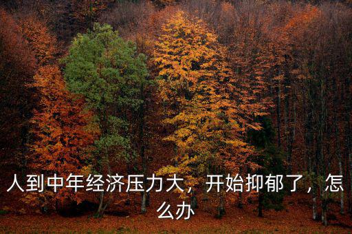 人到中年經(jīng)濟(jì)壓力大，開始抑郁了，怎么辦