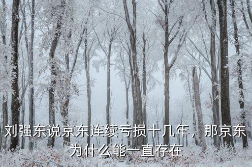 劉強(qiáng)東說(shuō)京東連續(xù)虧損十幾年，那京東為什么能一直存在