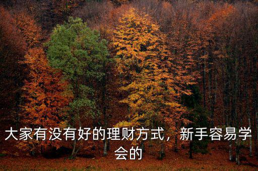 大家有沒有好的理財方式，新手容易學(xué)會的