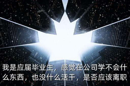 我是應(yīng)屆畢業(yè)生，感覺(jué)在公司學(xué)不會(huì)什么東西，也沒(méi)什么活干，是否應(yīng)該離職