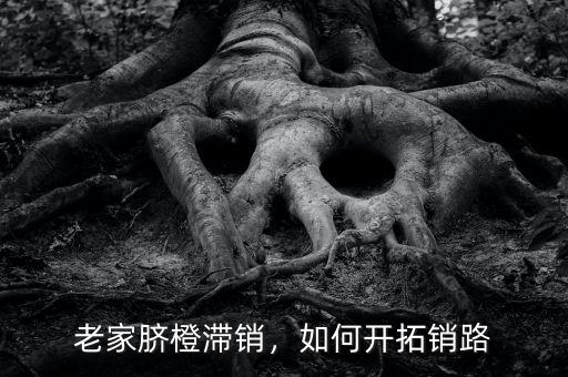 老家臍橙滯銷，如何開拓銷路