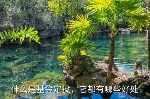 什么是基金定投，它都有哪些好處