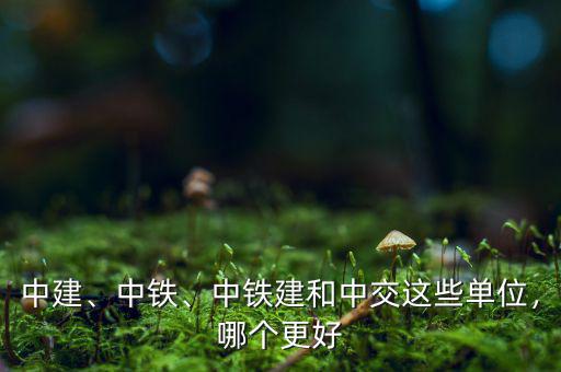 中建、中鐵、中鐵建和中交這些單位，哪個(gè)更好
