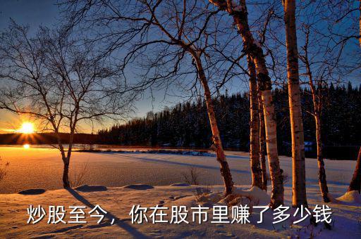 炒股至今，你在股市里賺了多少錢