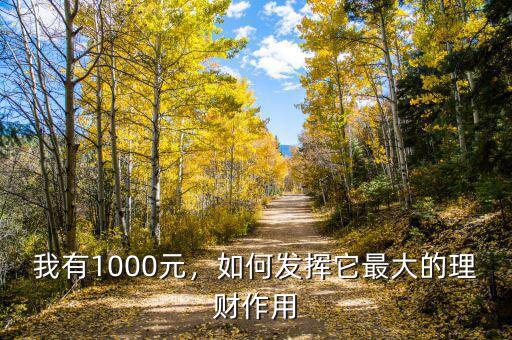 我有1000元，如何發(fā)揮它最大的理財作用