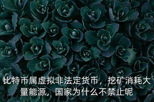 比特幣屬虛擬非法定貨幣，挖礦消耗大量能源，國(guó)家為什么不禁止呢