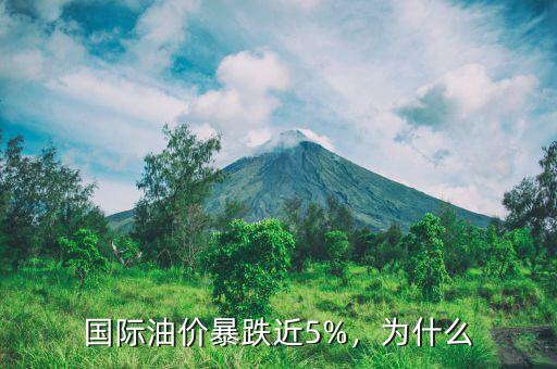 國際油價(jià)暴跌近5%，為什么