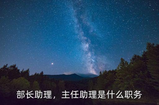 部長助理，主任助理是什么職務(wù)