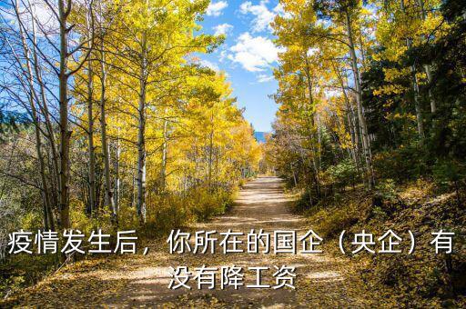 疫情發(fā)生后，你所在的國企（央企）有沒有降工資