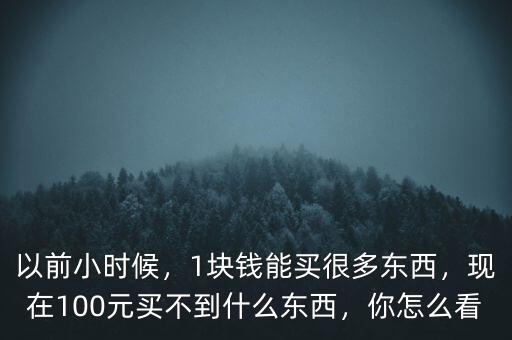 以前小時候，1塊錢能買很多東西，現(xiàn)在100元買不到什么東西，你怎么看