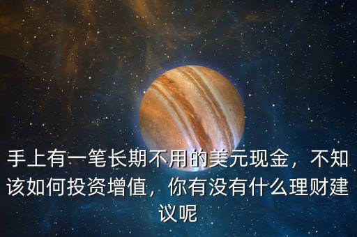 手上有一筆長(zhǎng)期不用的美元現(xiàn)金，不知該如何投資增值，你有沒(méi)有什么理財(cái)建議呢