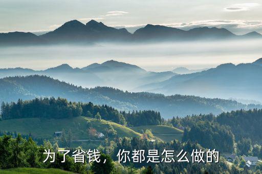 為了省錢，你都是怎么做的
