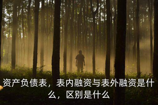 資產(chǎn)負(fù)債表，表內(nèi)融資與表外融資是什么，區(qū)別是什么