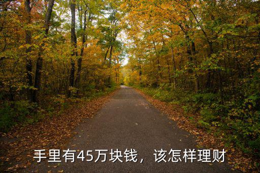 手里有45萬塊錢，該怎樣理財(cái)
