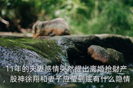11年的夫妻感情突然提出離婚搶財(cái)產(chǎn)，股神徐翔和妻子應(yīng)瑩到底有什么隱情