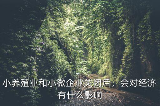 小養(yǎng)殖業(yè)和小微企業(yè)關(guān)閉后，會對經(jīng)濟(jì)有什么影響