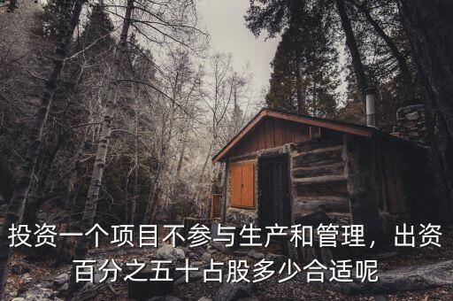投資一個項目不參與生產(chǎn)和管理，出資百分之五十占股多少合適呢