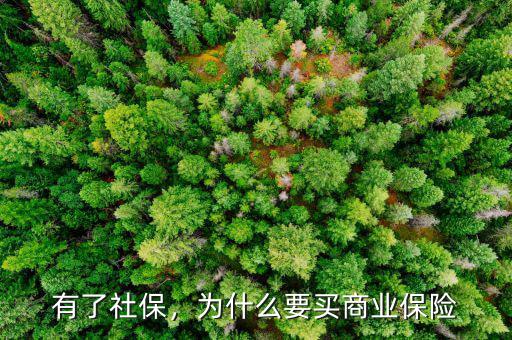 有了社保，為什么要買商業(yè)保險(xiǎn)