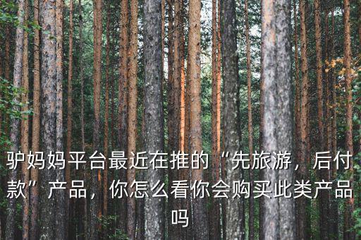 驢媽媽平臺(tái)最近在推的“先旅游，后付款”產(chǎn)品，你怎么看你會(huì)購買此類產(chǎn)品嗎