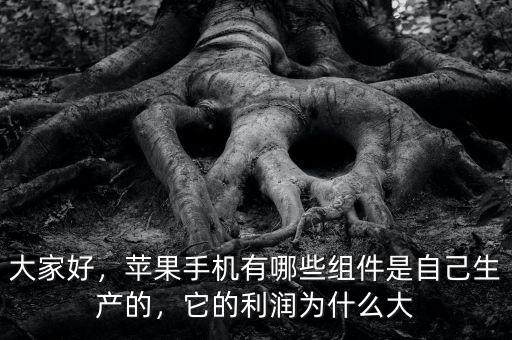 大家好，蘋果手機有哪些組件是自己生產(chǎn)的，它的利潤為什么大
