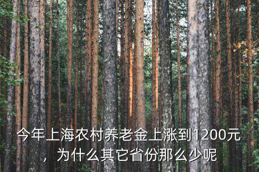 今年上海農(nóng)村養(yǎng)老金上漲到1200元，為什么其它省份那么少呢