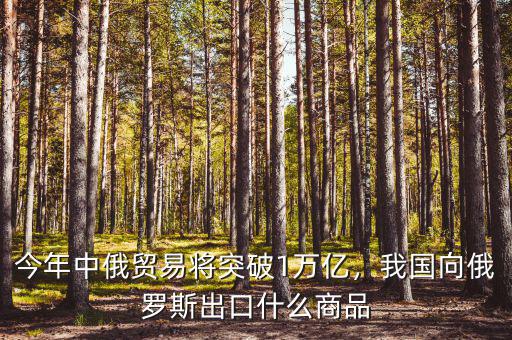 今年中俄貿(mào)易將突破1萬億，我國向俄羅斯出口什么商品