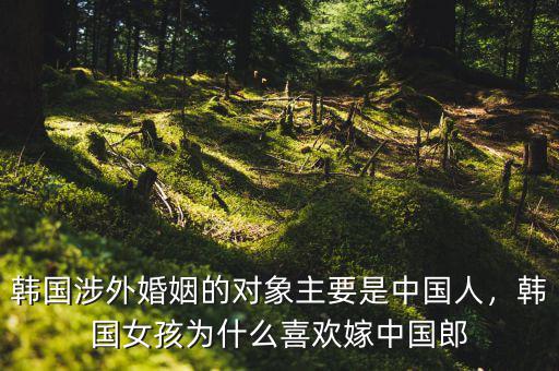 韓國(guó)人為什么不愿意結(jié)婚,為什么現(xiàn)在單身的人越來越多