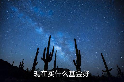 現(xiàn)在買(mǎi)什么基金好
