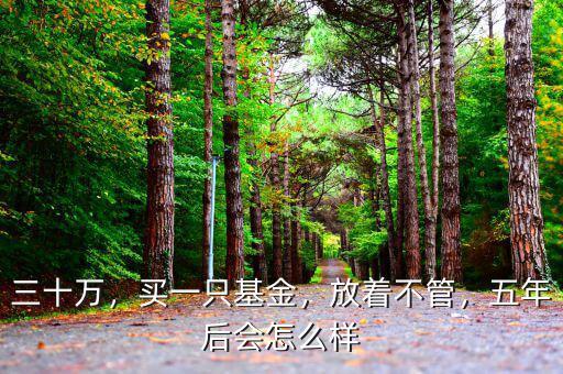 三十萬，買一只基金，放著不管，五年后會怎么樣