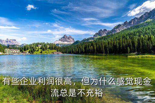 有些企業(yè)利潤很高，但為什么感覺現(xiàn)金流總是不充裕