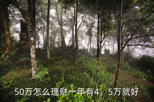 50萬怎么理財一年有4、5萬就好