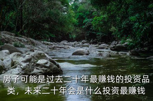 房子可能是過去二十年最賺錢的投資品類，未來二十年會是什么投資最賺錢