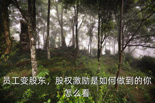 員工變股東，股權(quán)激勵是如何做到的你怎么看