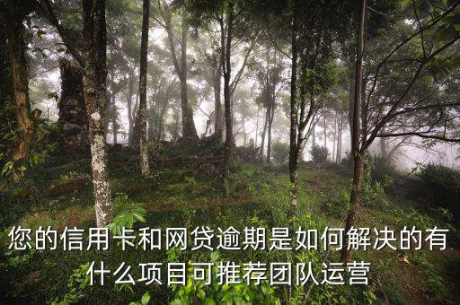 網(wǎng)貸怎么運(yùn)營,有什么項目可推薦團(tuán)隊運(yùn)營