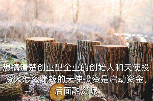 惡棍天使投資多少錢,天使投資的資金從哪來(lái)的