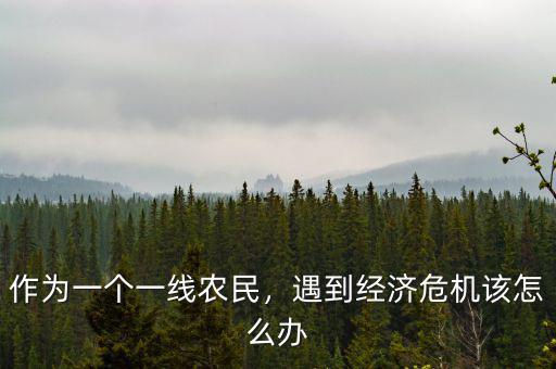 作為一個(gè)一線農(nóng)民，遇到經(jīng)濟(jì)危機(jī)該怎么辦