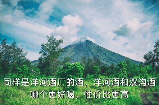 同樣是洋河酒廠的酒，洋河酒和雙溝酒哪個(gè)更好喝，性價(jià)比更高
