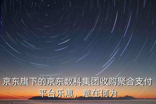 京東旗下的京東數(shù)科集團(tuán)收購(gòu)聚合支付平臺(tái)樂(lè)惠，意在何為