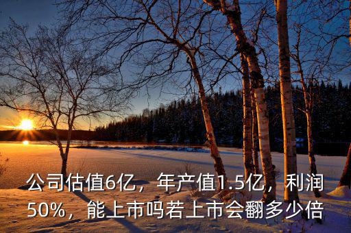 公司估值6億，年產(chǎn)值1.5億，利潤50%，能上市嗎若上市會翻多少倍