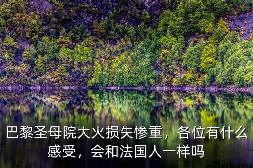 巴黎圣母院大火損失慘重，各位有什么感受，會和法國人一樣嗎