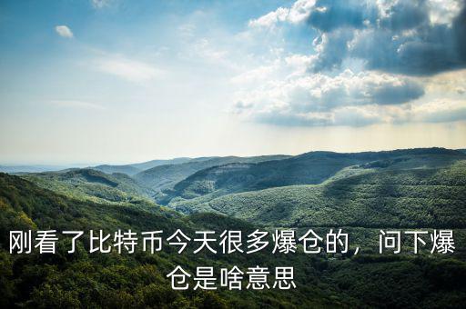 剛看了比特幣今天很多爆倉的，問下爆倉是啥意思