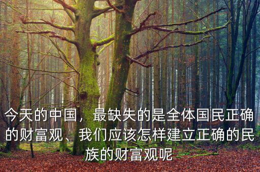 今天的中國，最缺失的是全體國民正確的財富觀、我們應該怎樣建立正確的民族的財富觀呢
