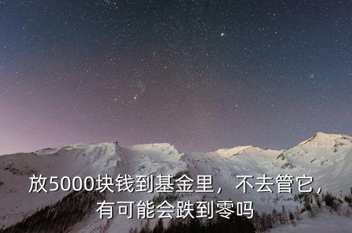 放5000塊錢(qián)到基金里，不去管它，有可能會(huì)跌到零嗎