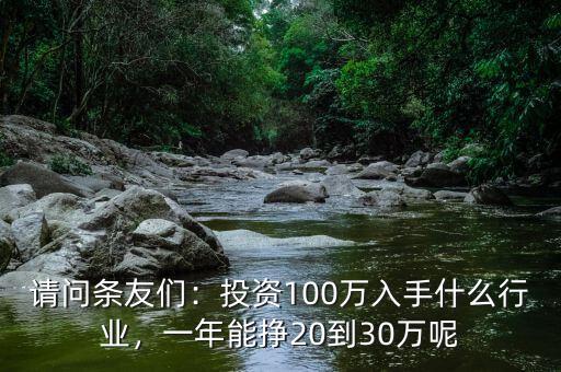 請(qǐng)問條友們：投資100萬入手什么行業(yè)，一年能掙20到30萬呢