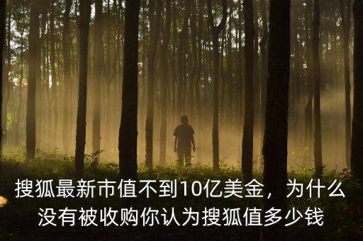 搜狐最新市值不到10億美金，為什么沒有被收購你認為搜狐值多少錢