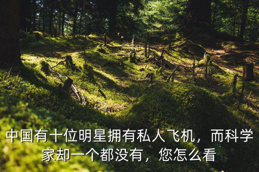 中國有十位明星擁有私人飛機(jī)，而科學(xué)家卻一個都沒有，您怎么看